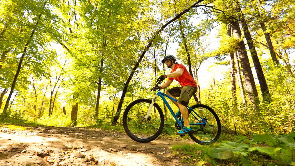 Szlaki rowerowe w Wilanowie: Odkryj piękno przyrodnicze dzielnicy